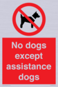 no-dogs-except-assistance-dogs~